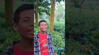 Baganiya Gaan Song Assamese Song Shorts baganiyasong assmesesong shortsfeed [upl. by Assen]