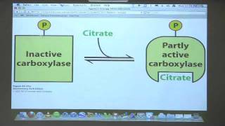 Kevin Aherns BiteSized Biochemistry 38  Fatty Acid Metabolism III [upl. by Duffy]