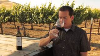 BV Coastal Estates Cabernet Sauvignon Tasting Note [upl. by Cormick544]