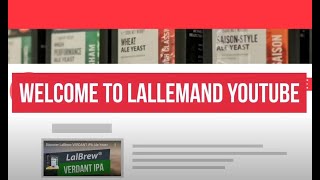 Lallemand Brewing  YouTube Trailer [upl. by Asiole]