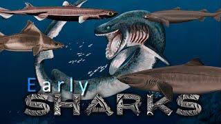 Prehistoric SHARKS and those from the Abyss [upl. by Holsworth]