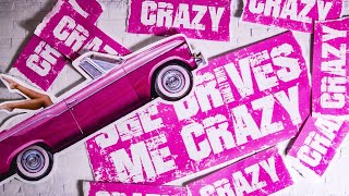 The Fairchilds  She Drives Me Crazy Lyric Video [upl. by Raine]