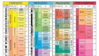 Biostratigraphy [upl. by Rimahs]