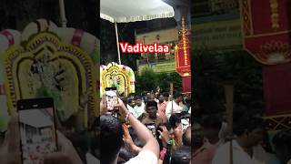 🦚Vadapalani✨Andava🙏 vadapalanimurugantemple murugan thirukalyanam [upl. by Groscr957]