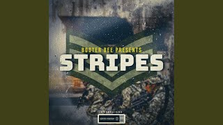 Stripes [upl. by Ahselef]