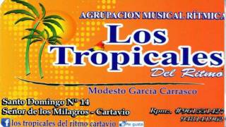 amame  los tropicales del ritmo de cartavio [upl. by Ehav]