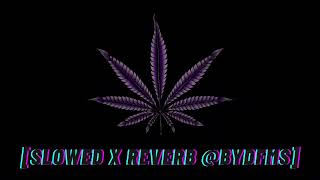 sé que no toleras wisin amp yandel slowed x reverb byDFMS Greyskull Abusando [upl. by La455]