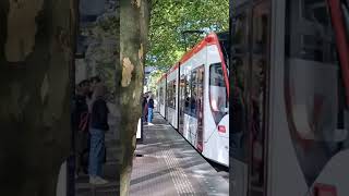 Hague tram approaching City Korte Voorhout Holland 🇳🇱 223pm 7 Sep 2024 [upl. by Aeslek477]