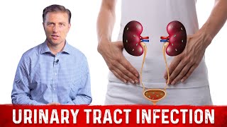 Best Home Remedy for Urinary Tract Infection UTI – Dr Berg [upl. by Marvin673]