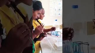 students in chemistry Lab shorts ytshorts Manoj Sir Vlogs [upl. by Inol639]