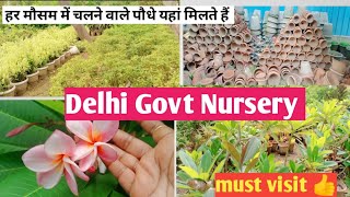 Govt Nursery Delhi Hardy and low care plants collections [upl. by Sidky]