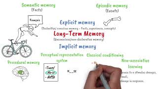 Longterm memory [upl. by Rapsac616]