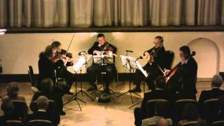 Mozart  Streichquintett in g minor  Mov 1  KV516 [upl. by Dira]