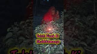 Mere Tulsi K Gamle Pe 🕉️ Likha Hi 🪔🌿 Tulsi Maharani ka Vivah 🎉🎊 [upl. by Ahs]