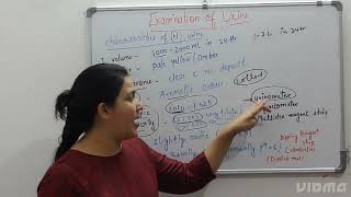 Characteristics of Normal urineurinedipsticktesturinometerrefractometerurinespecificgravitynsg [upl. by Teague]