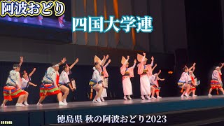 【四国大学連•阿波おどり】徳島県の秋の阿波おどりより〔徳島県の阿波踊り〕アスティとくしま2023114HDR [upl. by Serafine]