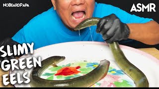 Food Extreme Asmr Mukbang Eating Green Slimmy Eel [upl. by Eanehs908]