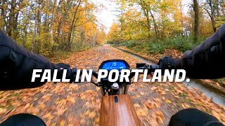 ONYX RCR Explores Powell Butte in Portland OR Autumn 2024  RAW POV Unedited  Gravel Road ASMR [upl. by Nedrob]