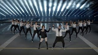 PSY  GENTLEMAN MV [upl. by Ciel901]