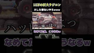 通常では出会う事のないデカすぎる海外のラジコン、日本で買える🎵 rc ラジコン rccar [upl. by Llehcal]