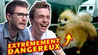 Cyprien Squeezie  Tokyo Jungle du NAWAK animalier [upl. by Gnoh467]