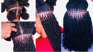 How to micro twist with curly hair minitwist microtwists twist twostrandtwist [upl. by Oflodor]