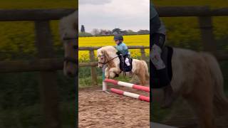 The littlest pony jumping ever horse showjumping horselover pony horseriding equestrian [upl. by Nadab]