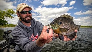 Panfish 101 — Angling Edge TV [upl. by Deacon481]