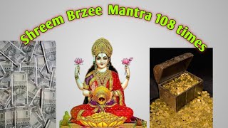 Most powerful Money Mantra Shreem Brzee 108 times chant [upl. by Lissa]