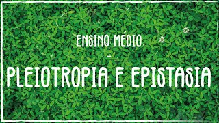 PLEIOTROPIA E EPISTASIA [upl. by Devine]