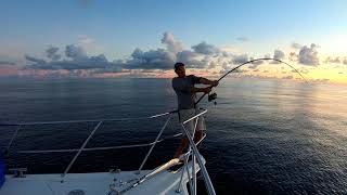 Bottom Fishing in the Seychelles aboard the 9G [upl. by Curt415]