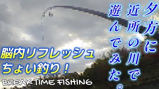 神回 【相模川】フリースタイルで夕方に近所の川で遊んでみた。 バス釣り 川スモール フリースタイル [upl. by Suciram]