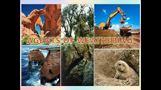 Weathering  Agents of Weathering in Physical and Biological Weathering [upl. by Bernete]