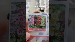 Hollyhock viralvideogardenplantsgardengardenflowersflowershollyhockterracegardenseedsupdate [upl. by Reiss]