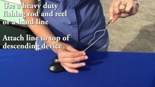 How to use a Shelton fish descender device [upl. by Suisyola703]