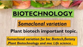 Somaclonal variation  Definition HistoryReasontypes application in hindi and english [upl. by Adela176]