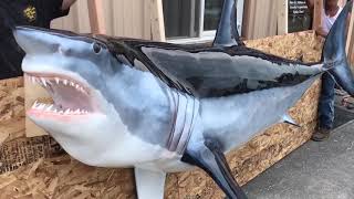 Mako Shark Mount Replica  Coast To Coast Fish Mounts [upl. by Sven]