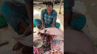 Exclusive Giant Chital Fish Cutting Skills shorts fishcutting youtubeshorts fish fishing [upl. by Ferdinana]