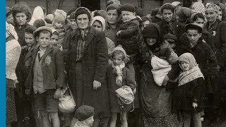 The Auschwitz Album Visual Evidence of the Process Leading to the Mass Murder at AuschwitzBirkenau [upl. by Seko610]