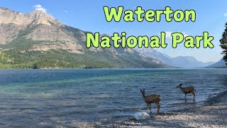 Waterton National Park [upl. by Coreen]