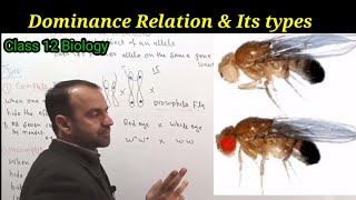 Dominance Relation  Types of Dominance Relation  Class 12 Biology [upl. by Natsirc]