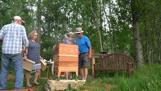 bee keeping hive inspection and brood box addition [upl. by Sad]