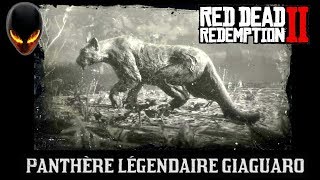 Red Dead Redemption 2 Panthère Légendaire Giaguaro  Animal Légendaire localisation [upl. by Chaddy891]