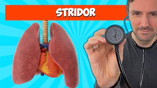 Stridor Lung Sounds For Beginners 🔥🔥🔥 lungsounds [upl. by Liatris569]