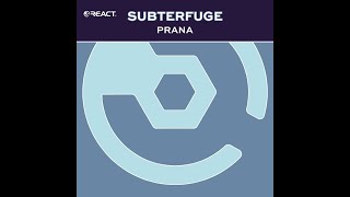 Subterfuge  Prana DUB Mix [upl. by Luigi165]