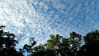 Altocumulus Clouds in the Grottoes VA 6924 [upl. by Jesselyn]