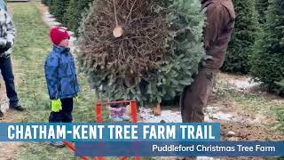 ChathamKent Christmas Tree Trail [upl. by Retsim]