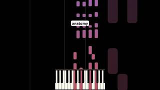 anatomy  Piano Cover kenzie anatomy pianocover [upl. by Erdnad]