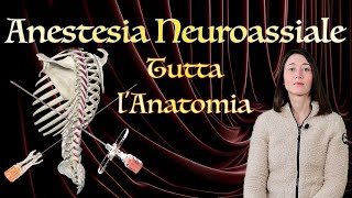 Anestesia Neuroassiale Tutta lAnatomia [upl. by Romney600]