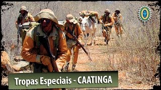 Tropas Especiais do Exército Brasileiro  Caatinga [upl. by Zobkiw]